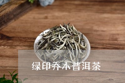 绿印乔木普洱茶/2023081568682