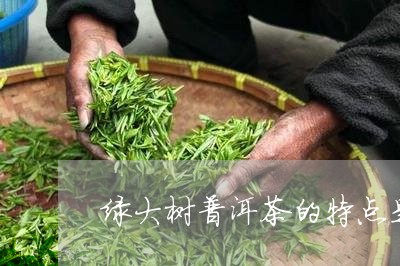 绿大树普洱茶的特点是什么/2023121884916