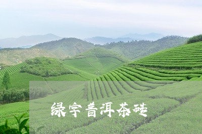 绿字普洱茶砖/2023090673948