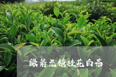 绿箭无糖桂花白茶/2023070755160