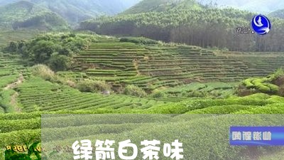 绿箭白茶味/2023051195260