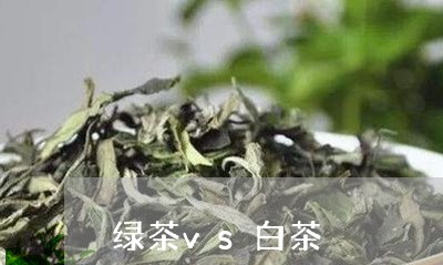 绿茶vs白茶/2023052350716