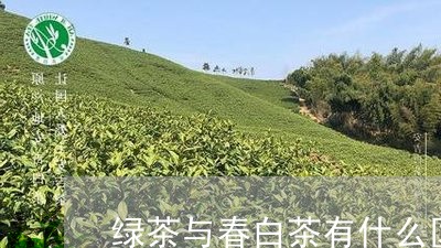 绿茶与春白茶有什么区别/2023110222724