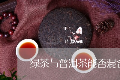 绿茶与普洱茶能否混合/2023061413230