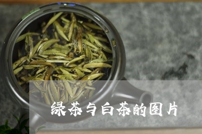 绿茶与白茶的图片/2023070784137