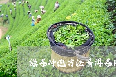 绿茶冲泡方法普洱茶网/2023100572634