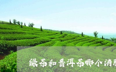 绿茶和普洱茶哪个消脂/2023062188269