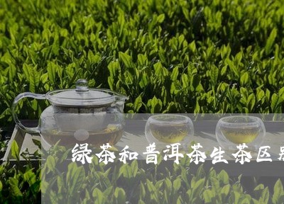 绿茶和普洱茶生茶区别/2023080307583