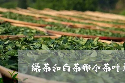 绿茶和白茶哪个茶叶最好/2023110292916