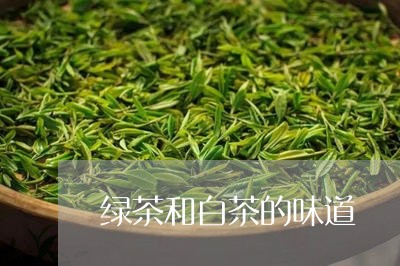 绿茶和白茶的味道/2023070710825