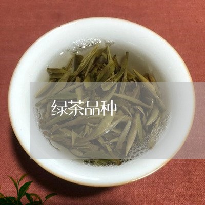 绿茶品种/2023110877373