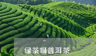 绿茶喝普洱茶/2023042688285