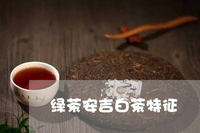 绿茶安吉白茶特征/2023070749635