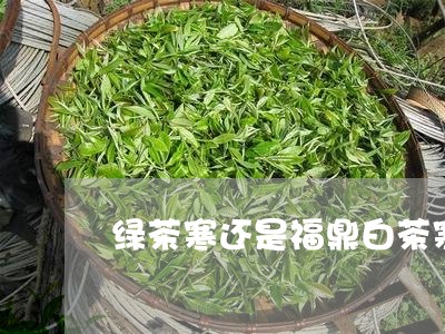 绿茶寒还是福鼎白茶寒/2023091661726