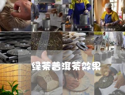 绿茶普洱茶效果/2023070936151