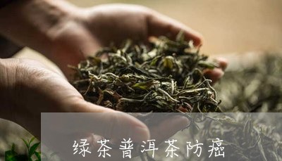 绿茶普洱茶防癌/2023091459472