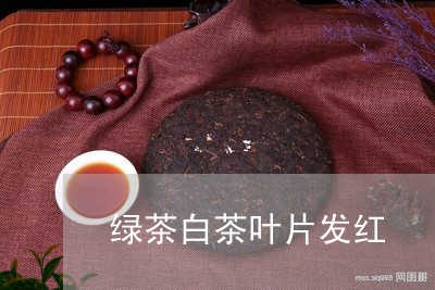 绿茶白茶叶片发红/2023071331581