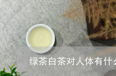 绿茶白茶对人体有什么好处/2023042863969