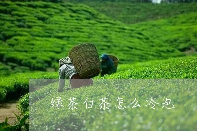 绿茶白茶怎么冷泡/2023071357092