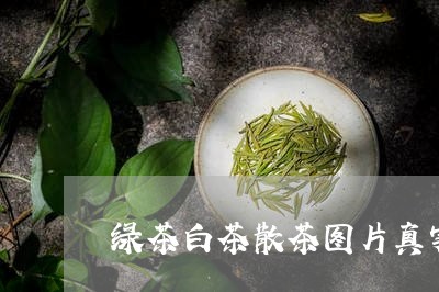 绿茶白茶散茶图片真实高清/2023042805130