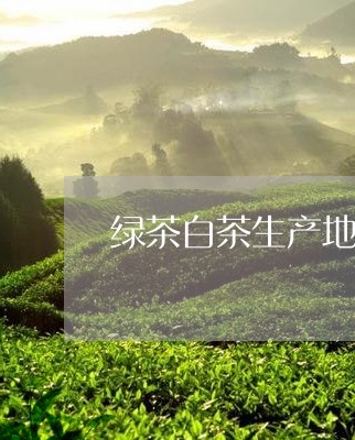 绿茶白茶生产地/2023060864294