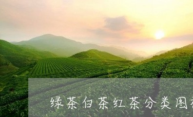 绿茶白茶红茶分类图标大全/2023110945039