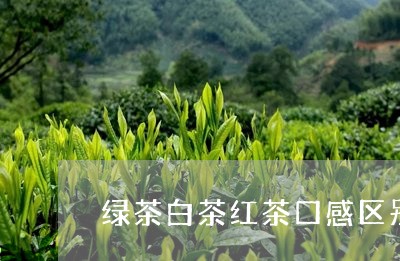 绿茶白茶红茶口感区别在哪/2023042746471