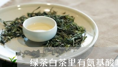 绿茶白茶里有氨基酸吗能喝吗/2023111411705