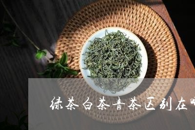 绿茶白茶青茶区别在哪儿/2023110276187