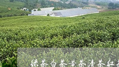 绿茶白茶黄茶清茶红茶黑茶/2023042777148