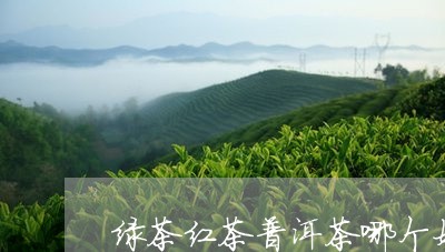 绿茶红茶普洱茶哪个好喝点/2023082520493