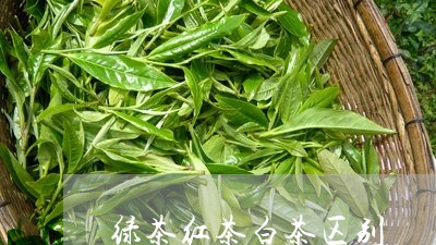 绿茶红茶白茶区别/2023071264036