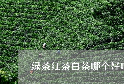 绿茶红茶白茶哪个好喝一点/2023110906251