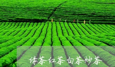 绿茶红茶白茶炒茶/2023071201637