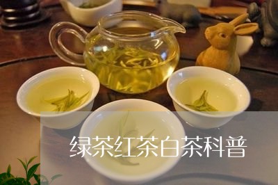 绿茶红茶白茶科普/2023071208382