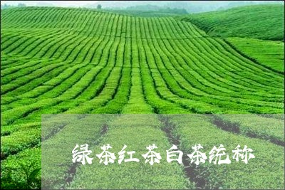 绿茶红茶白茶统称/2023071289480