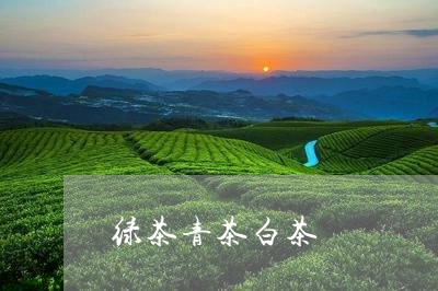 绿茶青茶白茶/2023052348179