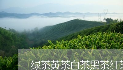 绿茶黄茶白茶黑茶红茶推荐/2023110974836