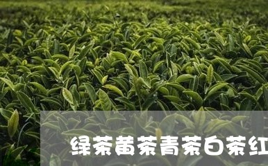 绿茶黄茶青茶白茶红茶黑茶/2023110994260