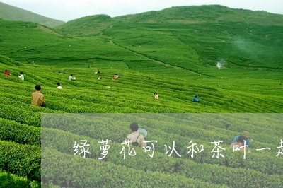 绿萝花可以和茶叶一起泡水喝吗/2023053108470