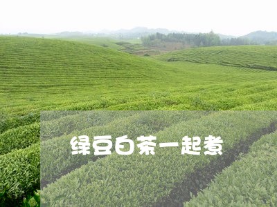 绿豆白茶一起煮/2023082504037