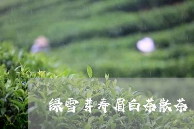 绿雪芽寿眉白茶散茶/2023091258281