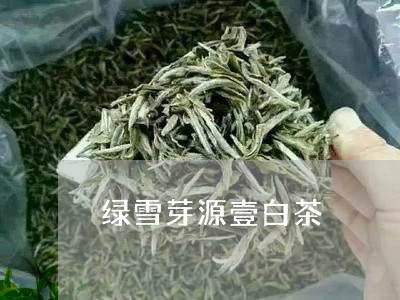 绿雪芽源壹白茶/2023060805371