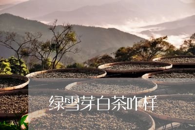 绿雪芽白茶咋样/2023060871693