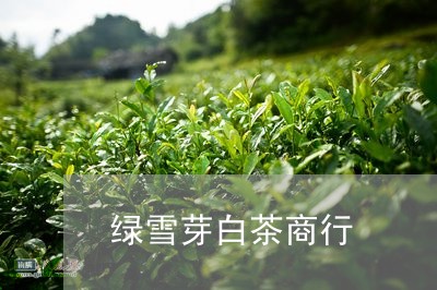 绿雪芽白茶商行/2023060837161