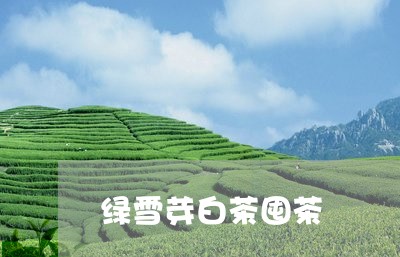 绿雪芽白茶囤茶/2023060880584