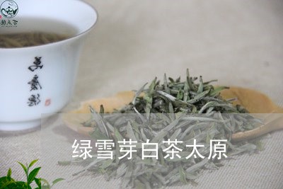 绿雪芽白茶太原/2023060896038