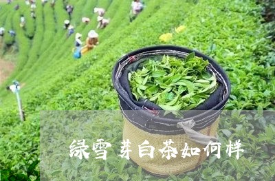 绿雪芽白茶如何样/2023071209372