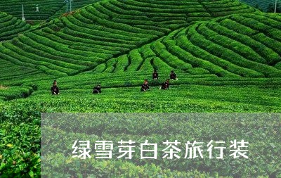 绿雪芽白茶旅行装/2023071262826