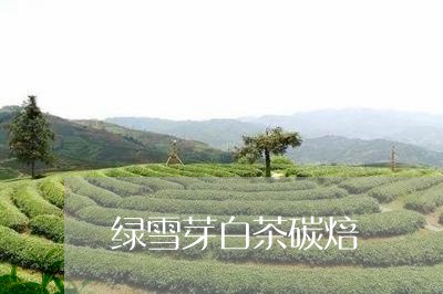 绿雪芽白茶碳焙/2023060884936